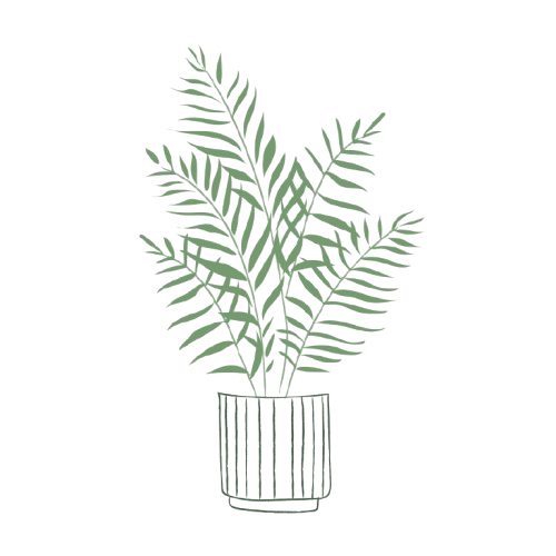 ilustraçãoplanta